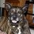 Sandy O'Dell's profile image