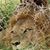 Betsi Haack's profile image