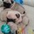 Lynda Mcclendon's profile image