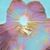 Christine Schaefer Young's profile image