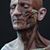 Joel Hernandez Jr.'s profile image