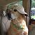 Sean Lathrop's profile image
