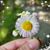 Rae Lynne Scott Tonkin's profile image