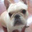 Jan Carter White's profile image