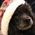 Denise Witty's profile image