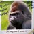 Scott Blackberg's profile image