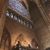 Barbara Weldon Soloway's profile image