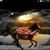 Deb Corder's profile image