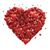 Amy Smith's profile image
