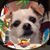 Patricia DeBlaey's profile image