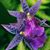Alice Bretz Kaffel's profile image