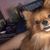 Vicky Fehn's profile image