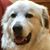 Gail Young's profile image