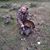 Michael D. Coppedge's profile image