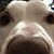 DeMauricio S.'s profile image