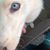 Patricia Bresson's profile image