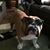 Annette Muska Hartis's profile image