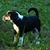 Barbara Purdy Burchell's profile image