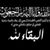 Ali Elmehelmy's profile image