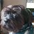 Lynda Saylor's profile image