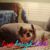 Kristy Flaherty Duda's profile image