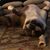 Jeff Scharbach's profile image