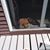 Brenda Baird's profile image