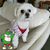 Robin Spayd's profile image