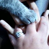 Heather Walker's profile image