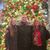 Donita Martino-Garrison's profile image