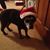 Debbie Tederous's profile image