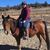 Sharalyn Hay's profile image