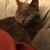 Christine Sorenson's profile image