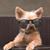 Gleizi Nha's profile image
