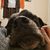 Nathan A. Read's profile image