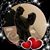 Evony M Rodriguez's profile image