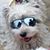 Jackie Fenton Myers's profile image