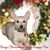 Karen Belcher's profile image