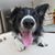 Pattie Pilz's profile image