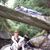Laura Moulton Zaborowski's profile image