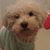Angie Tsai's profile image