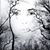 Lynn Christiansen's profile image