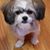 Judy Cooper's profile image