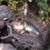 Charity Pihlaja's profile image