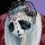 Angela Guptill Martell's profile image