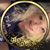Zona Mercurio's profile image