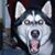 Juan Carlos's profile image