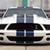 Mark Beauchamp's profile image