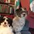 Rhonda Eller's profile image