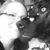 Jill Tade's profile image